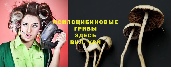 дурь Алексин