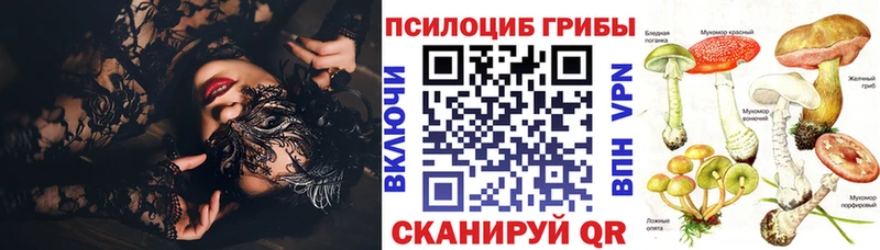 Галлюциногенные грибы мицелий  Кингисепп 
