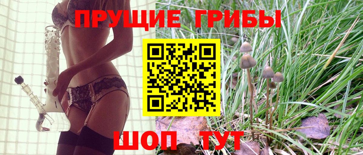 Кингисепп  Псилоцибиновые грибы MAGIC MUSHROOMS  Вход с VPN 